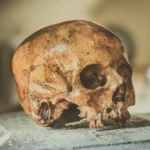 jangan tertipu! ini dia efek samping procomil spray yang tak terduga!